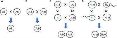 Selectively advantageous instability in biotic and pre-biotic systems and implications for evolution and aging